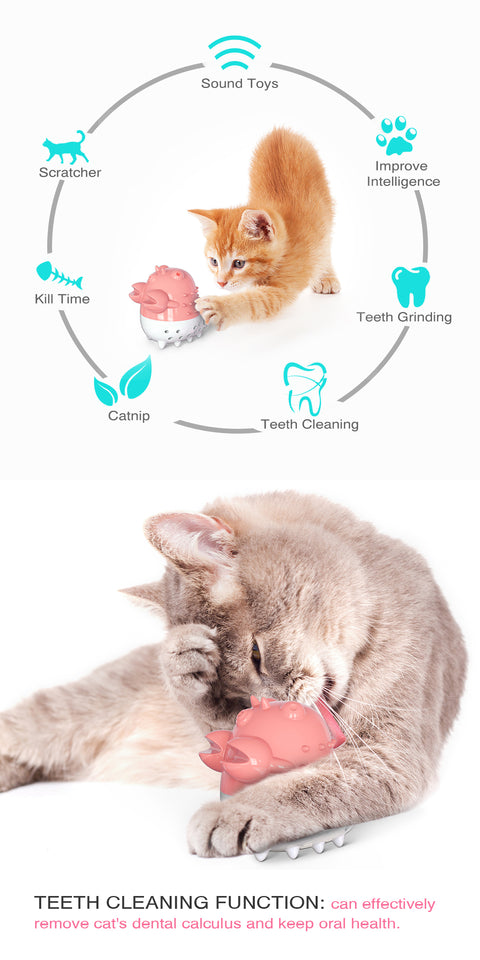 Dental Care Cat Toothbrush Toys Refillable Cat Mint Interactive Playing Feeding Toy with Bell for Kitten Kitty Cats Teeth Cleaning